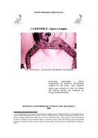 Candomblé. Agora é Angola Ivete Miranda Previtalli .pdf